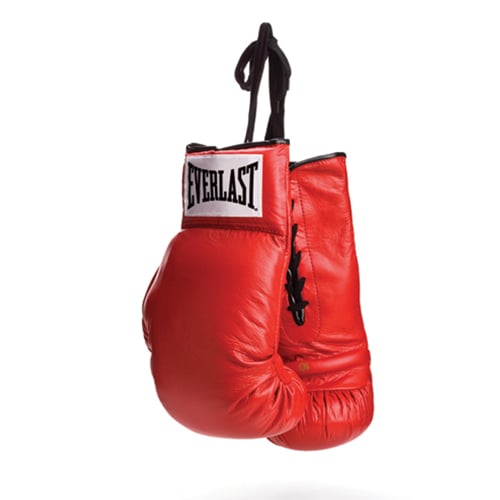 Autograph Glove - Everlast